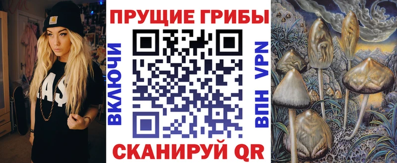 Галлюциногенные грибы GOLDEN TEACHER  нарко площадка как зайти  Райчихинск 